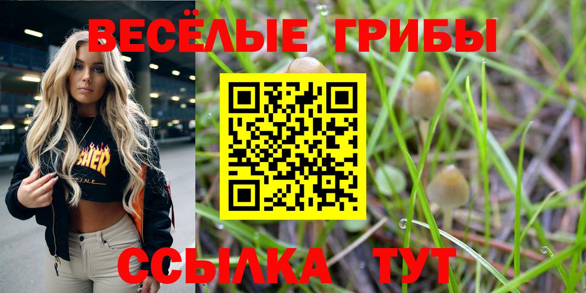 Знаменск  Псилоцибиновые грибы Psilocybe  Вход с VPN 
